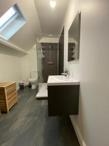 La salle de bains est pourvue d'un lavabo, d'une douche et de toilettes. dans l'établissement Sulfer7, à Heuvelland