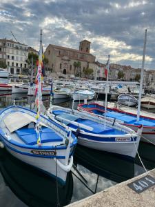 ラ・シオタにあるVieux port LA CIOTAT 1の港に停泊する船団