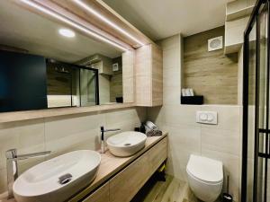 a bathroom with a sink and a toilet and a mirror at Apartman Ana in Daruvar