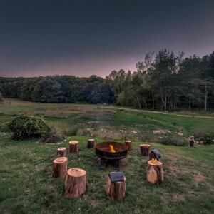 a fire pit in the middle of a field with logs at Domaine du Val Sauvage in Langeais