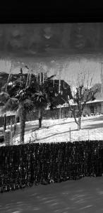 une photo en noir et blanc de palmiers et d'une clôture dans l'établissement Chalet au cœur du Val d'Azun, à Arras-en-Lavedan