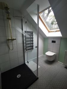 een badkamer met een douche, een toilet en een raam bij Leśniczówka in Lądek-Zdrój
