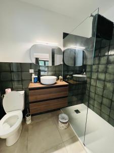 uma casa de banho com um WC, um lavatório e um chuveiro em CHAMBRE COSY em Santa-Lucia-di-Moriani
