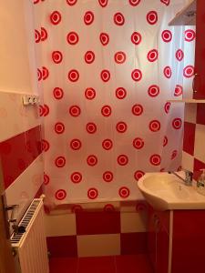 a bathroom with a shower curtain with red and white polka dots at LA ALIS SI RAISA! Apartament cu 2 camere! in Lupeni