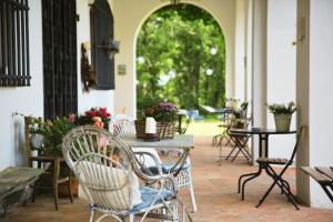 Zahrada ubytování Villa Albertina + 37 fotografií