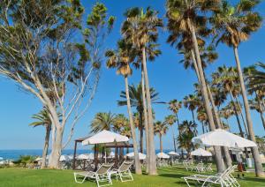 a group of chairs and umbrellas on the beach with palm trees at Leonardo Plaza Cypria Maris Beach Hotel & Spa in Paphos