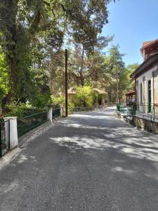 una strada vuota in un parco con alberi e un edificio di ThePlatres.Nest a Platres