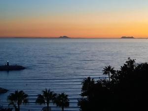a sunset over a large body of water with palm trees at Apto Puerto Deportivo el Faro Marbella in Marbella +1 photo