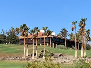 un bâtiment avec des palmiers en face de celui-ci dans l'établissement Eagle Studio, à San Miguel de Abona