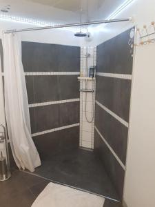 łazienka z prysznicem z zasłoną prysznicową w obiekcie spacieuse maison de ville avec espace détente w mieście Rezé