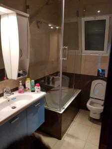 La salle de bains est pourvue d'une douche, d'un lavabo et de toilettes. dans l'établissement DreamStay And Wonderful Near Tunisia Mall Lac 2, à Tunis