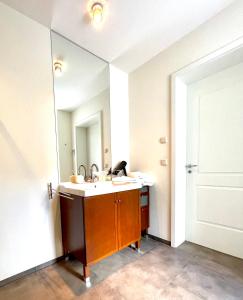 a bathroom with a sink and a large mirror at Doppelzimmer Gartenblick Villa Julian in Aurich