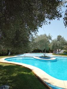 uma grande piscina azul com uma árvore em Apartamento Brisas em Sevilha