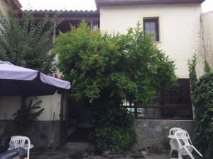 a tree in front of a house with two white chairs at Despina Lymperi Hotel Apartments in Myrina
