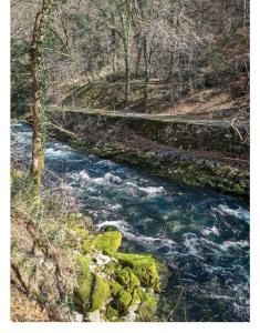un río con rocas verdes y árboles y una carretera en Wilma, en Čavle