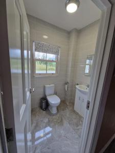 La salle de bains est pourvue de toilettes, d'un lavabo et d'une fenêtre. dans l'établissement Mountmahon House, à Abbeyfeale