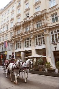 twee witte paarden die een koets voor een gebouw trekken bij Steigenberger Hotel Herrenhof in Wenen