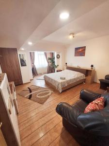 布勒伊拉的住宿－Casa Nicolae，一间大卧室,配有一张床和一张沙发