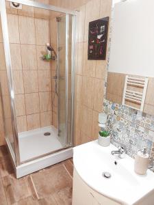 La salle de bains est pourvue d'une douche et d'un lavabo. dans l'établissement Casa Nicolae, à Brăila