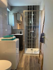 ein Badezimmer mit Dusche und Waschbecken in der Unterkunft La Colonne in Obernai
