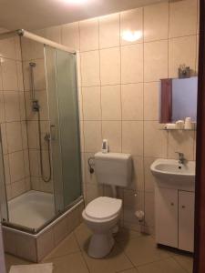 uma casa de banho com um chuveiro, um WC e um lavatório. em MOTEL ZADOIL *** em Maków Podhalański