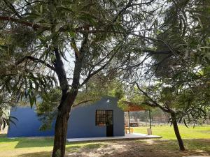 a small blue building in a field with trees at El puesto in Lobos