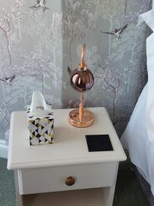 a bedside table with a lamp and a box on it at The Patricia in Torquay