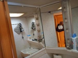 een badkamer met een wastafel, een toilet en een spiegel bij Komfortcaravan in Kalaznó