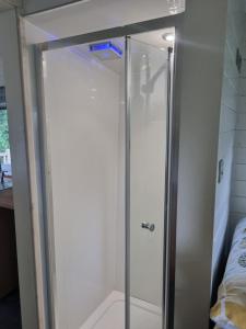a shower with a glass door in a room at Glamping Hut - Sleeps 2 hot tub & parking in Garthbeibio +14 photos