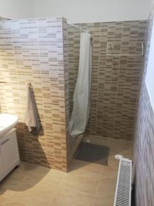 a bathroom with a shower with a toilet and a sink at Total Relax Apartmanház in Bogács