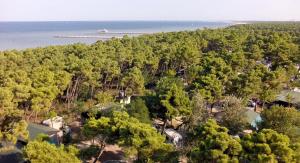 カザル・ボルセッティにあるRomea Family Campingの水辺の森の空の景色