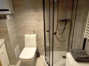 W łazience znajduje się toaleta i przeszklony prysznic. w obiekcie Markowa Chata w Cisnej