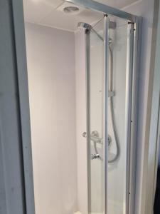 a shower with a glass door in a bathroom at Glamping Hut - Sleeps 2 hot tub & parking in Garthbeibio +16 photos