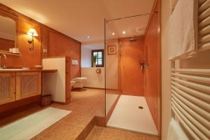 y baño con ducha, lavabo y aseo. en Ferienapartments Gutshof Brandis, en Lana