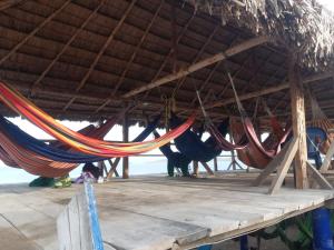a group of hammocks hanging from a roof at Estrella de mar in Cabo de la Vela