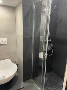 een badkamer met een douche en een wastafel bij La Bibiane Beaulieu sur mer !!! in Beaulieu-sur-Mer