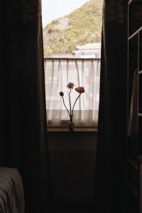 a window with a vase with flowers in a vase at Parkhotel Mondschein, a Member of Design Hotels in Bolzano