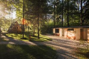 a house in the woods with a gravel road and trees at Forest Camping Mozirje in Mozirje