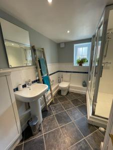 a bathroom with a sink and a shower and a toilet at Selwood Cottage Annex in Frome