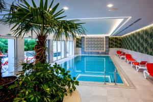 克利默内什蒂Hotel Carolin的一个带红色椅子和棕榈树的游泳池