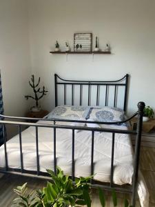 1 dormitorio con cama de metal con plantas y estanterías en Salvador Dance-Hall Cuartos Privados, en Salvador