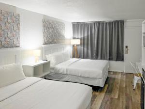 ein Hotelzimmer mit 2 Betten und einem Fenster in der Unterkunft Oneway Savannah in Savannah