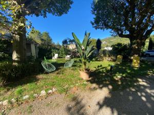 Κήπος έξω από το Les Platanes - Cézanne Rez de Jardin +1 φωτογραφίες