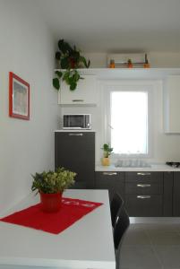 uma cozinha com uma mesa com um vaso de plantas em Da Irene em Mestre
