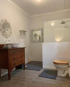 a bathroom with a toilet and a sink and a mirror at Shabach Farm in Hartebeest Rivier
