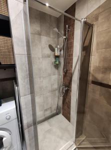 a shower with a glass door in a bathroom at Apartments Franny's Bees in Vilnius