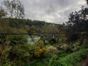 una vista de una masa de agua con árboles y plantas en Aareggli en Berna