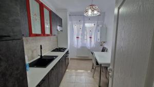 una cucina con lavandino e piano di lavoro di Best Apart Garii a Braşov