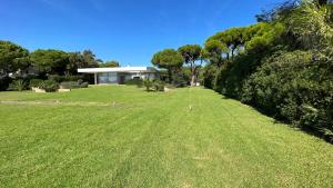 A garden outside Beachfront Villa Hoopoe Schinias, Marathon