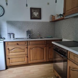 a kitchen with wooden cabinets and a sink and a stove at Hüschelrath gemütlich Natur in Leichlingen